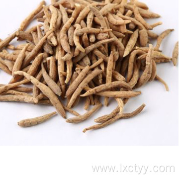 korean red ginseng root